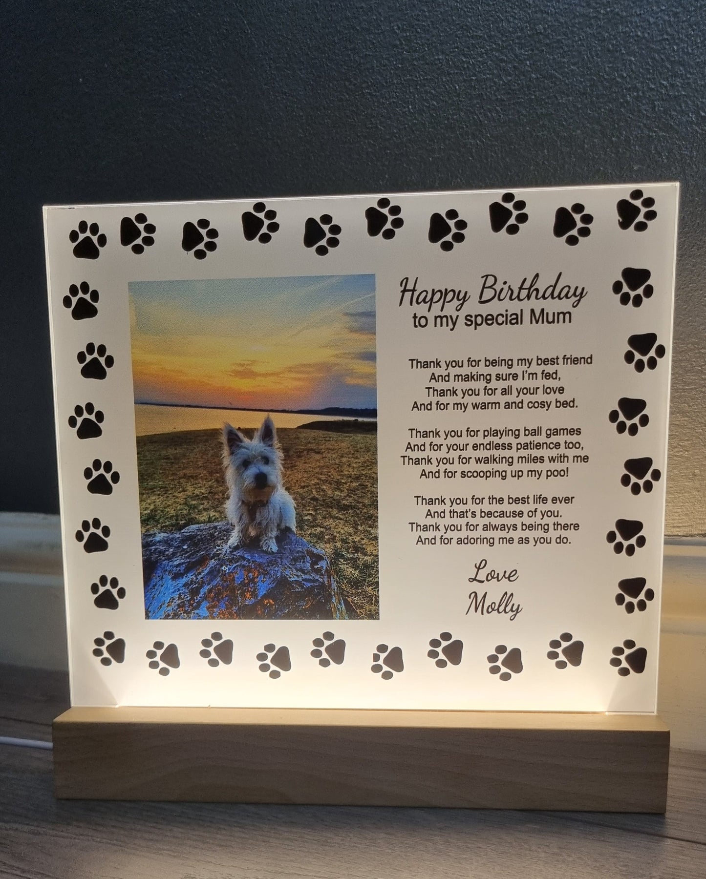 Personalised led photo display. - Laser LLama Designs Ltd